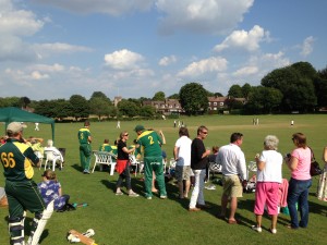 Cheriton Sixes cricket 2013