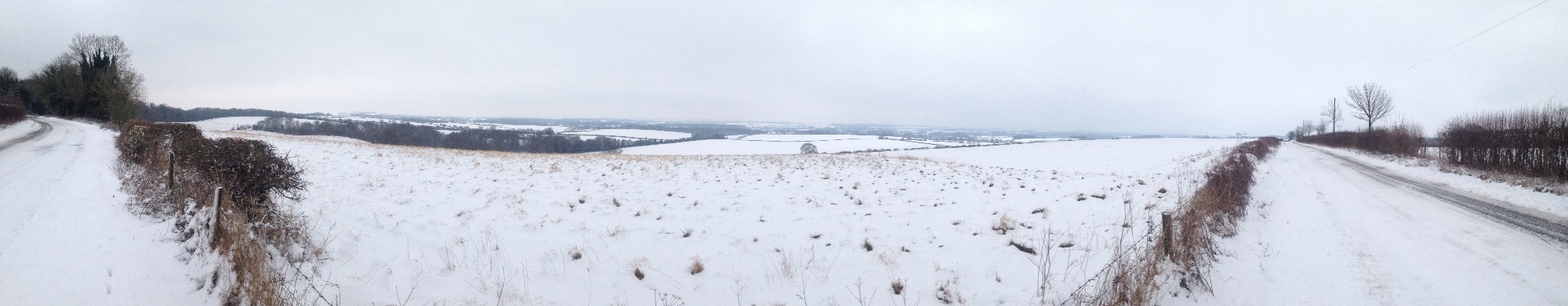 Winter view of Kilmeston Down and beyond