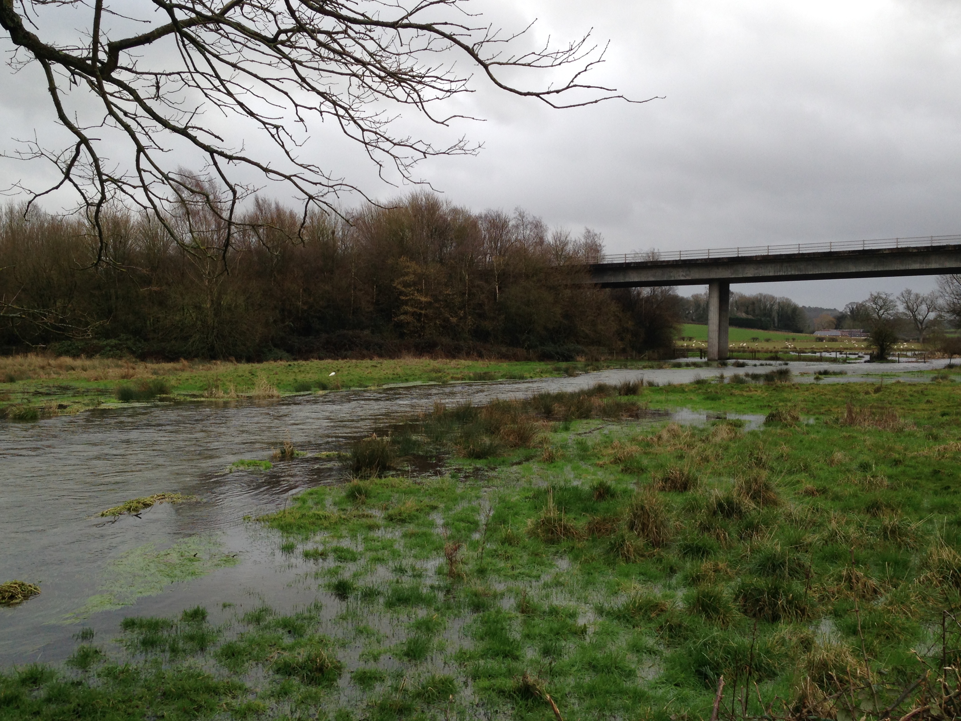 River Itchen and Alresford Bypass